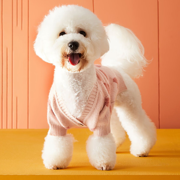 ペット服 小型犬用 ハート柄 女の子 かわいい セーター やわらかい ピンク cht-1108 4枚目の画像