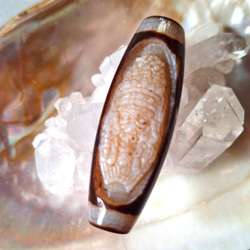 珍しい天珠‼️扎基拉姆（ザキラム）彫り 仏眼天珠さん単品‼️ 1枚目の画像