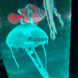 ナイトライト ミニ 水族館 クラゲ 海洋生物 おしゃれ かわいい USB コンパクト 間接照明 cht-1726 8枚目の画像
