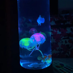 ナイトライト ミニ 水族館 クラゲ 海洋生物 おしゃれ かわいい USB コンパクト 間接照明 cht-1726 7枚目の画像