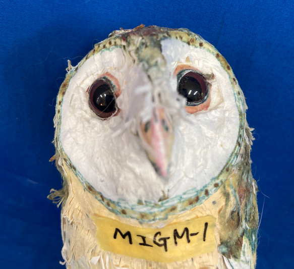 メンフクロウ MIGM-1 ペーパーマスコットＭサイズ 8枚目の画像