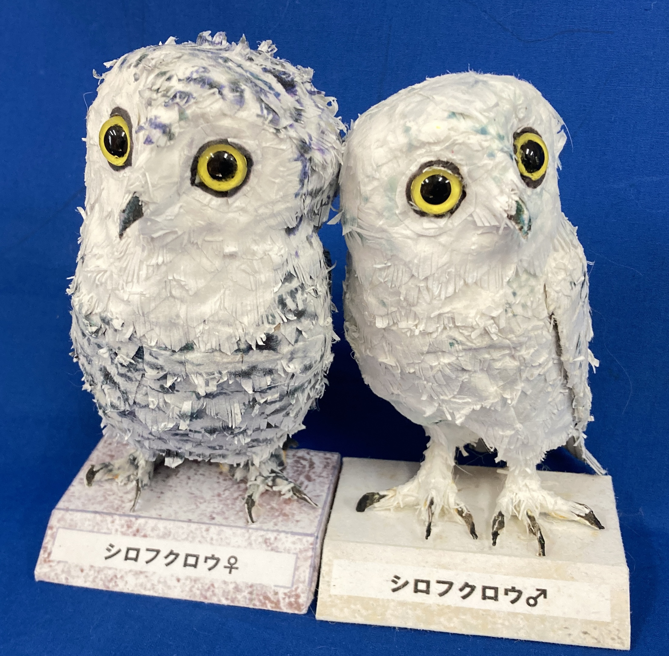 白福夫妻・シロフクロウ夫妻セット  ペーパーマスコット Ｍサイズ