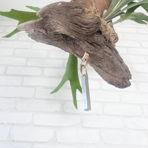 ビカクシダ コウモリラン 群生ビカクシダ流木付け 観葉植物