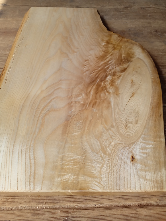 【木製看板製作】 栓 37cm×58.5cm厚み2.8cm / 一枚板看板 37cm×58 5cm厚み2 8cm セン