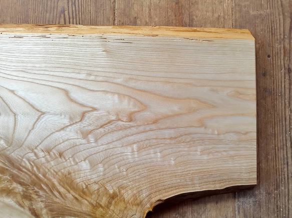 【木製看板製作】 栓 37cm×58.5cm厚み2.8cm / 一枚板看板 37cm×58 5cm厚み2 8cm セン