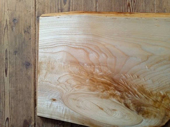 【木製看板製作】 栓 37cm×58.5cm厚み2.8cm / 一枚板看板 37cm×58 5cm厚み2 8cm セン