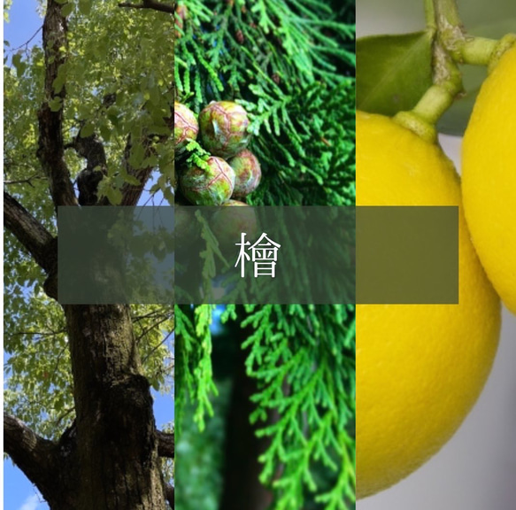 【国産精油の香りのキャンドル】檜(ヒノキ) -Hinoki- 7枚目の画像