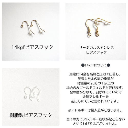14kgf】チベット産モリオンピアス ピアス（フック・チェーン