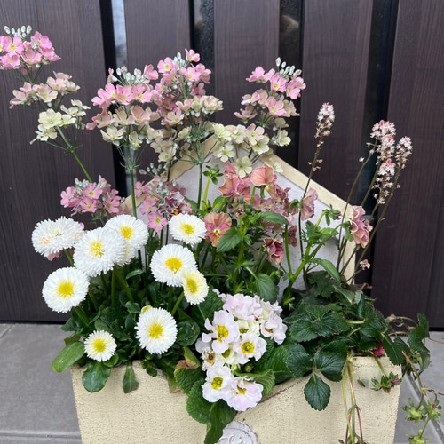 季節のお花寄せ植え グラスファイバー 季節のお花寄せ植え グラス