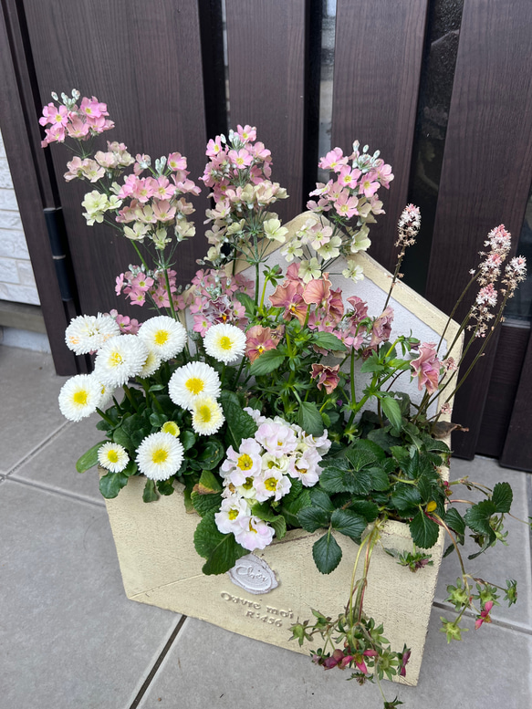 季節のお花寄せ植え グラスファイバー 【公式通販】