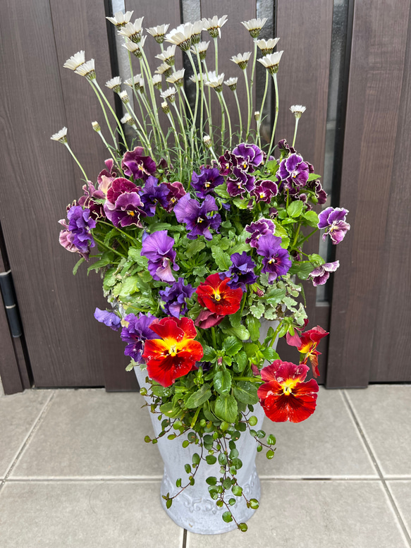 寄せ植え 花□グラスファイバー ビオラレディ アートフラワー もりの 