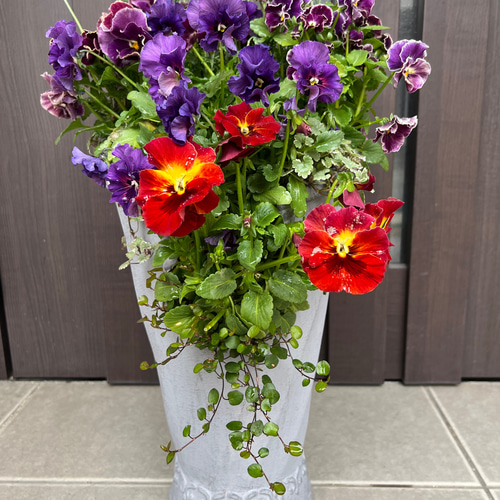 寄せ植え 花□グラスファイバー ビオラレディ アートフラワー もりの 