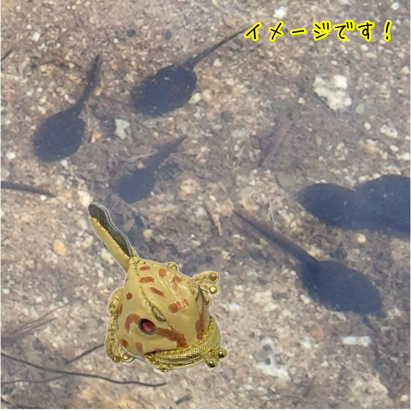 おったまガマ口（イエロー） 7,110円