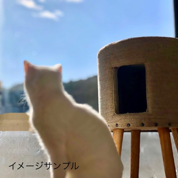 猫ハウス　スツール　椅子　キャットハウス 水色 6枚目の画像