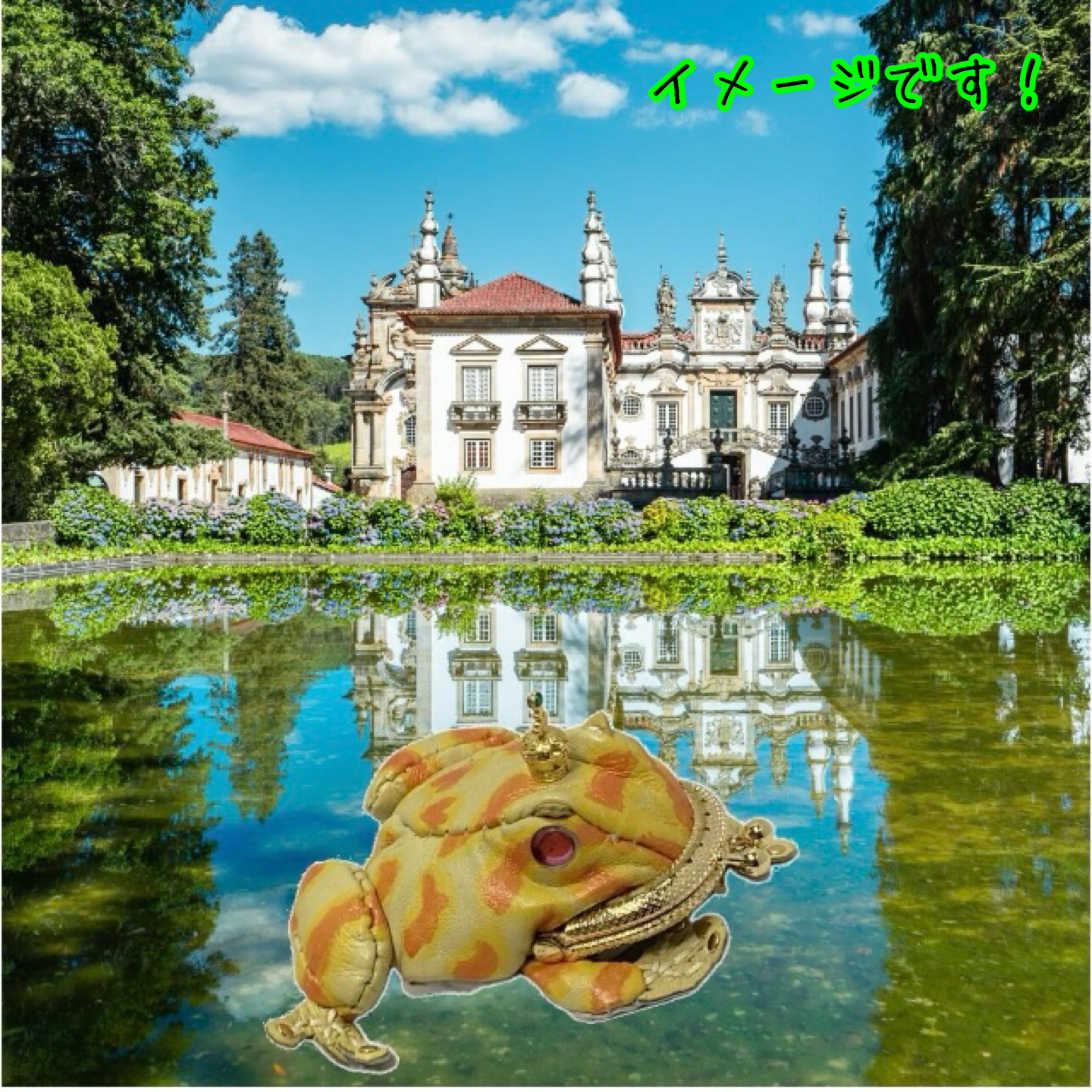 ツノガエルの王様（イエロー）