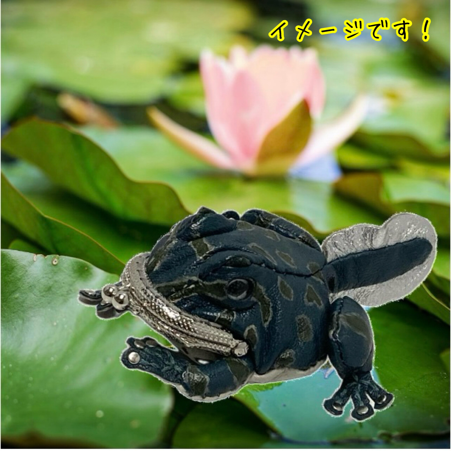 ツノガエル（尻尾あり）