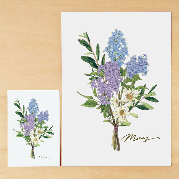 ポストカード　12ヶ月の花束　5月 2枚目の画像