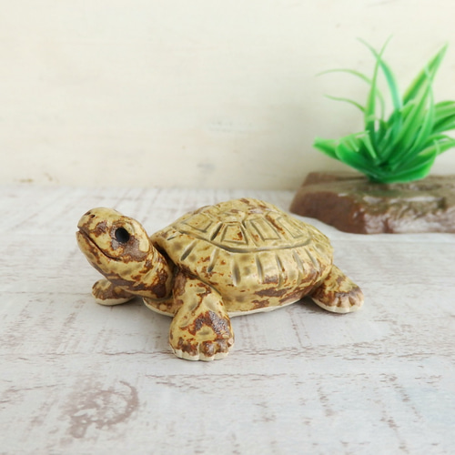 亀型置物と？石亀 亀型置物と？石亀