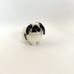 うさぎ 羊毛フェルト ロップイヤー ホーランドロップ ミニうさぎ