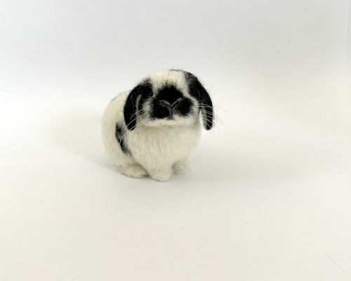 うさぎ 羊毛フェルト ロップイヤー ホーランドロップ ミニうさぎ