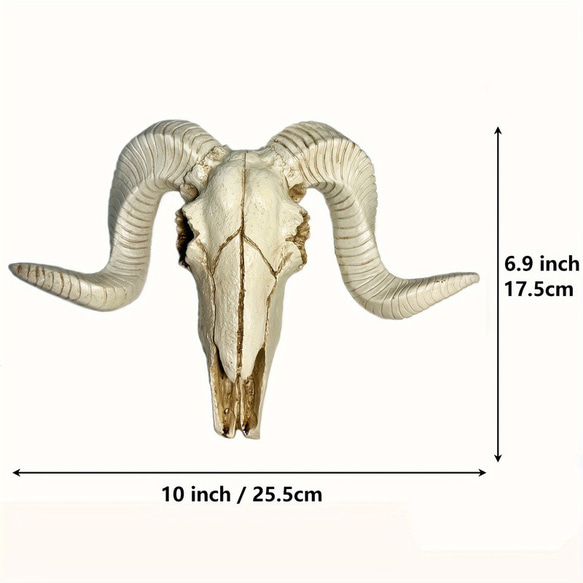 壁掛け オブジェ ヤギ ヘッドスカル ハンティングトロフィー風 おしゃれ インテリア コンパクト 動物 ch-1480 9枚目の画像