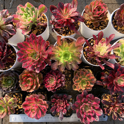 e25121eacc29ce1dbcdb271fb9a6f3