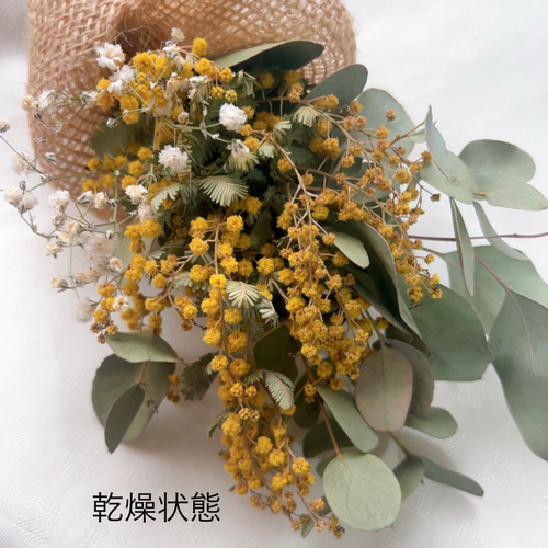 ミモザスワッグ ふわふわ仕上げ スワッグ Satsuki 通販 17439287