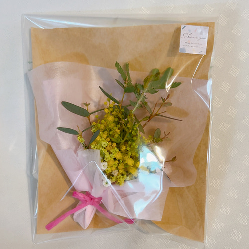 楽天市場】ミモザスワッグ 50cm 1束黄色く小さいミモザの花が