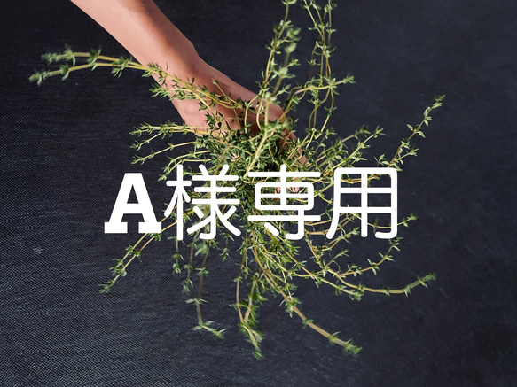 【決済用】A様　mimosa wreath 1枚目の画像