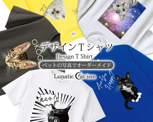 FACE シートのみ45/125 現代アート