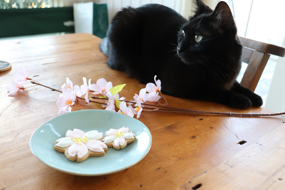 さくら２ピース　アイシングクッキー 2枚目の画像