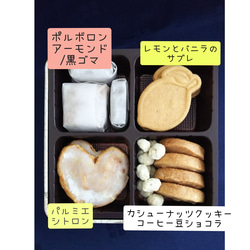 【3/21出荷】クッキー缶＊レビューお礼にクーポンプレゼント＊ 3枚目の画像