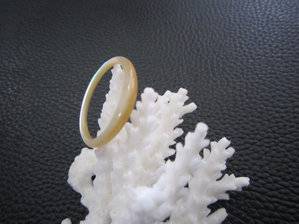 夜光貝指輪　１９号Ｌ　細いシェルリング６５ 3枚目の画像