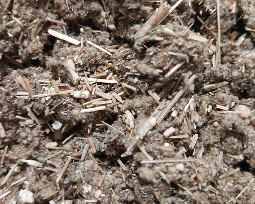 韓国 江華島産 3年熟成獅子足よもぎ 1kg その他雑貨 gigi 通販