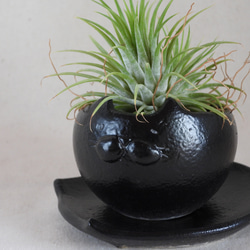 黒猫ちゃん陶製植木鉢(猫皿付き) 7枚目の画像