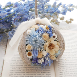 ブッダナッツ ドライフラワー 青色 ドライフラワー nanohanaya 通販