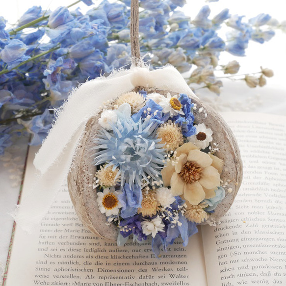 ブッダナッツ ドライフラワー 青色 ドライフラワー nanohanaya 通販