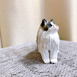 ラグドール　猫　フィギュア　置物　オブジェ　粘土 3枚目の画像