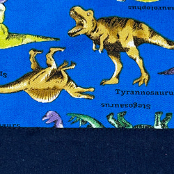 コップ袋⭐︎恐竜⭐︎20×20cm⭐︎巾着袋⭐︎給食袋 4枚目の画像