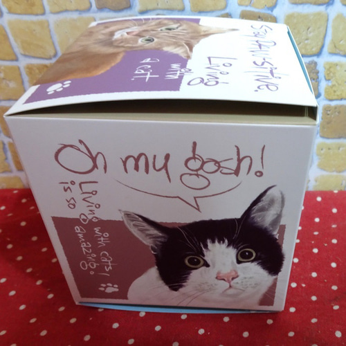 6面猫ちゃんのイラストBOXにネコの形のクッキー4袋詰め合わせ