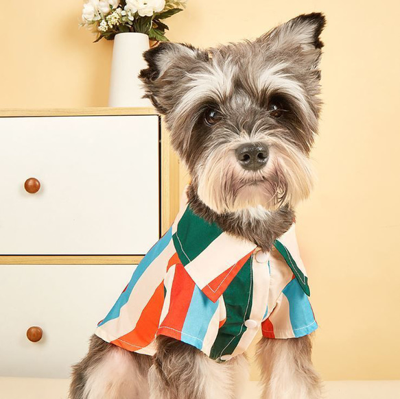 犬服 かわいい 虹色 袖付き 着せやすい 簡単着脱 安全 高品質 ボタン付き ドッグウェア ペット服 ch-1153 3枚目の画像