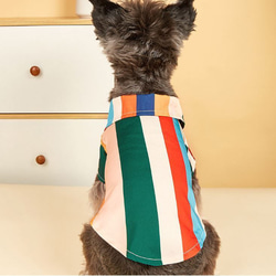 犬服 かわいい 虹色 袖付き 着せやすい 簡単着脱 安全 高品質 ボタン付き ドッグウェア ペット服 ch-1153 4枚目の画像