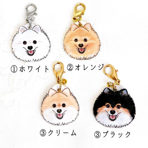 わんちゃん チャーム 3点set リボン ポメラニアン 楽天市場】3連 ポメラニアン キーホルダー キーリング 犬 ポメ