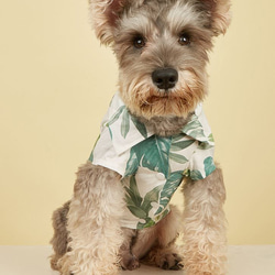 犬服 かわいい 夏用 涼しい 簡単着脱 散歩 出かけ 安全 高品質 ボタン付き ドッグウェア ペット服 ch-1155 4枚目の画像