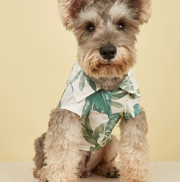 犬服 かわいい 夏用 涼しい 簡単着脱 散歩 出かけ 安全 高品質 ボタン付き ドッグウェア ペット服 ch-1155 4枚目の画像