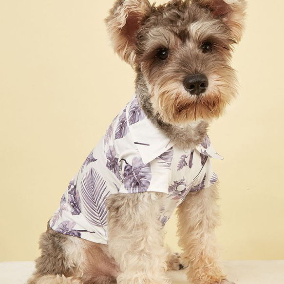 犬服 かわいい 夏用 涼しい 簡単着脱 散歩 出かけ 安全 高品質 ボタン付き ドッグウェア ペット服 ch-1155 3枚目の画像