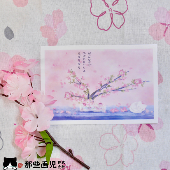 ポストカード 桜さくら 6枚目の画像