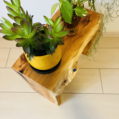 花台　観葉植物　ローテーブル  一位 花台 観葉植物 ローテーブル 棚・シェルフ・ラック あっきーお工房