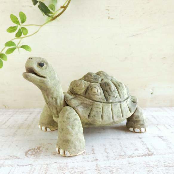 リクガメ ゾウガメ 置物 【公式通販】
