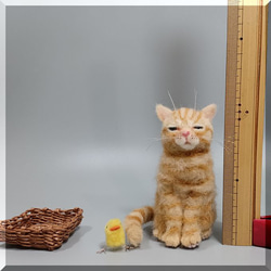 羊毛フェルト　猫　籠入り 茶トラ猫さん と ヒヨコさん　チャトラ　ねこ　ネコ　猫フィギュア 6枚目の画像